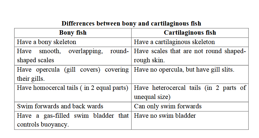 diff