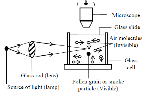 brownian motion milk experiment