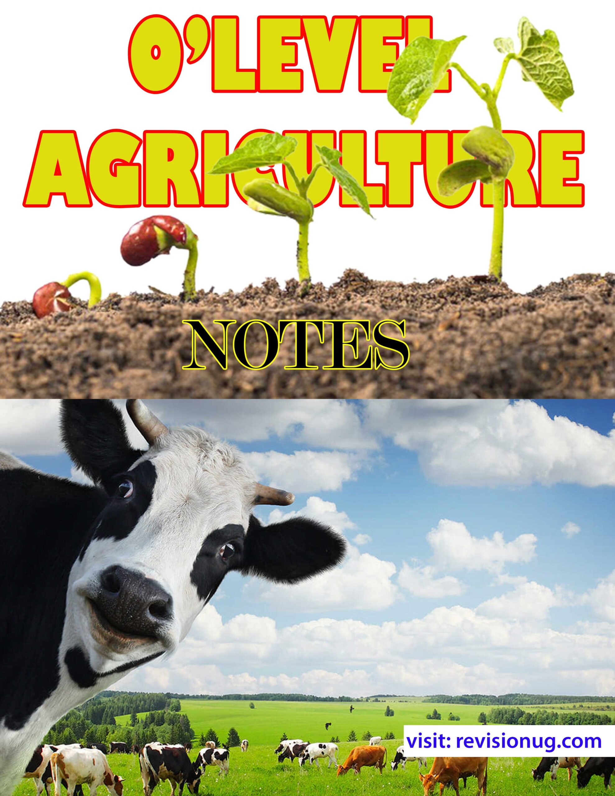 O level agriculture notes uganda