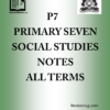 PRIMARY SEVEN P.7 SOCIAL STUDIES NOTES ALL TERMS